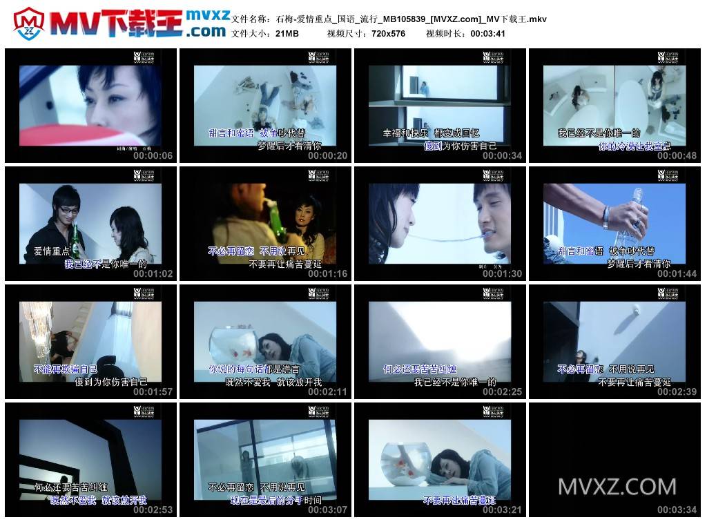 石梅-爱情重点_国语_流行_MB105839